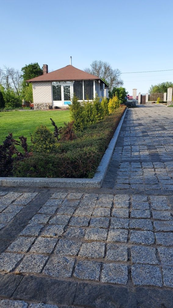 Продам Туи, Ель голубая, любые декор растения