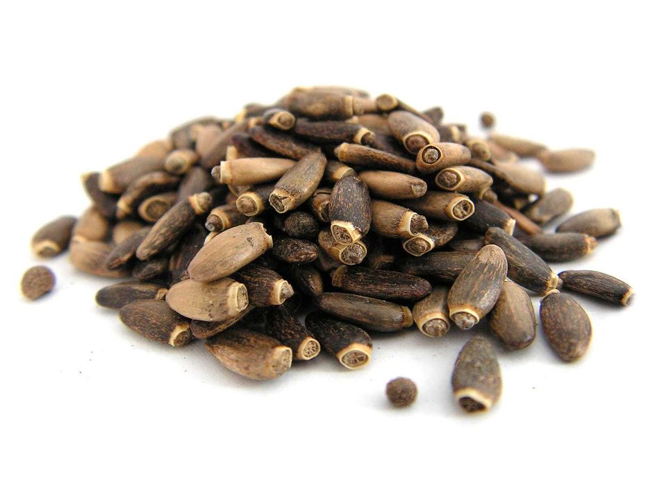 ziarno ostropestu plamistego na olej