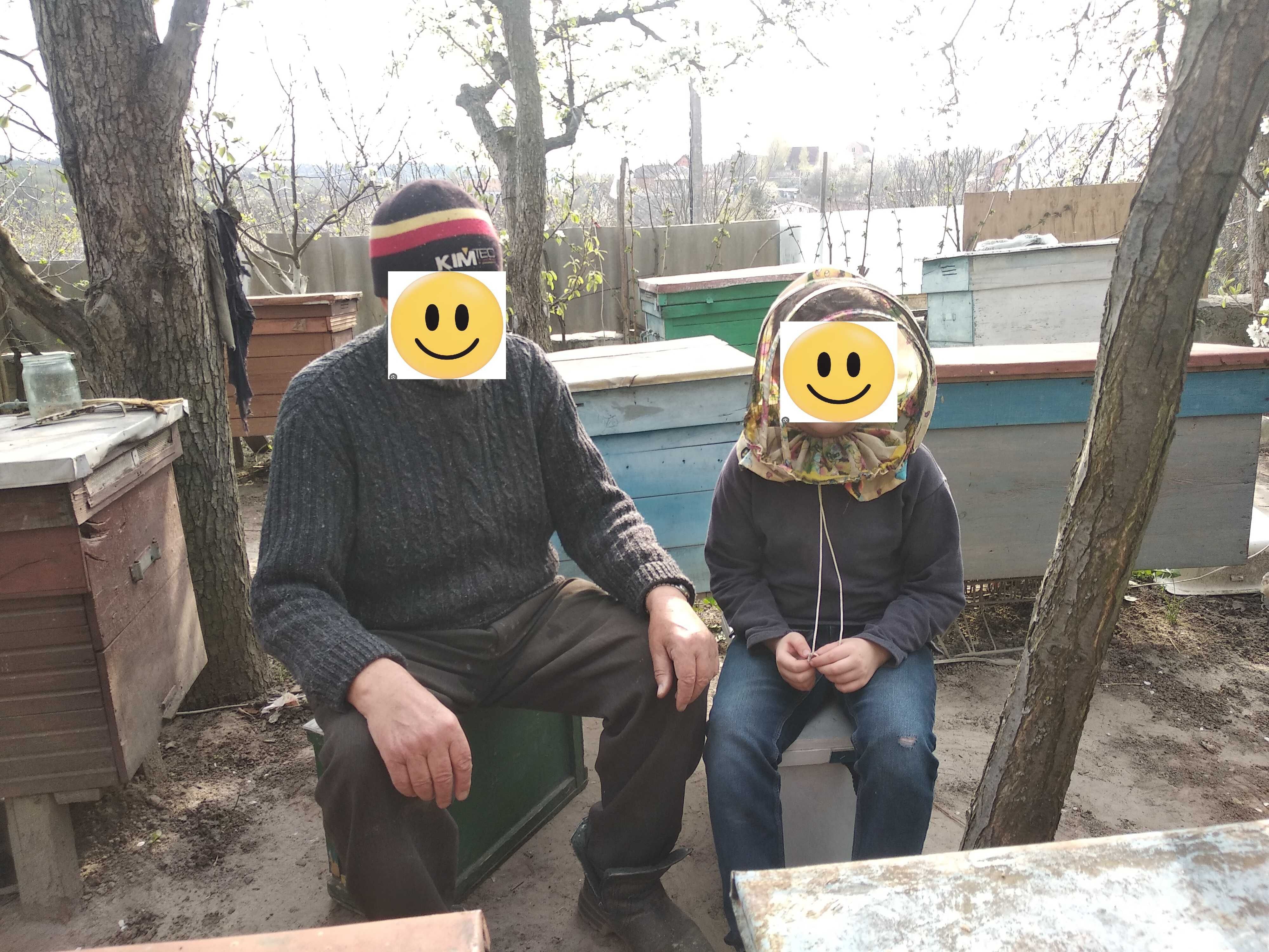 продам вулики з бджолами