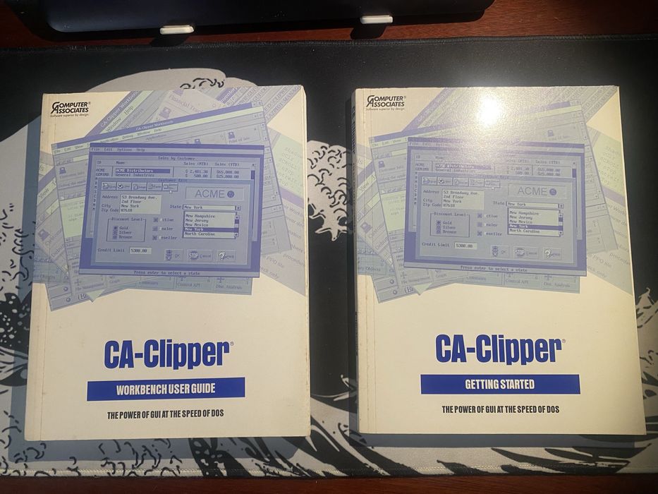 Conjunto 2 livros de informática