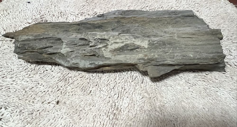 Ardósia para Aquário grande