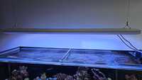 Lampa akwarium morskie Giesemann FUTURA 125cm