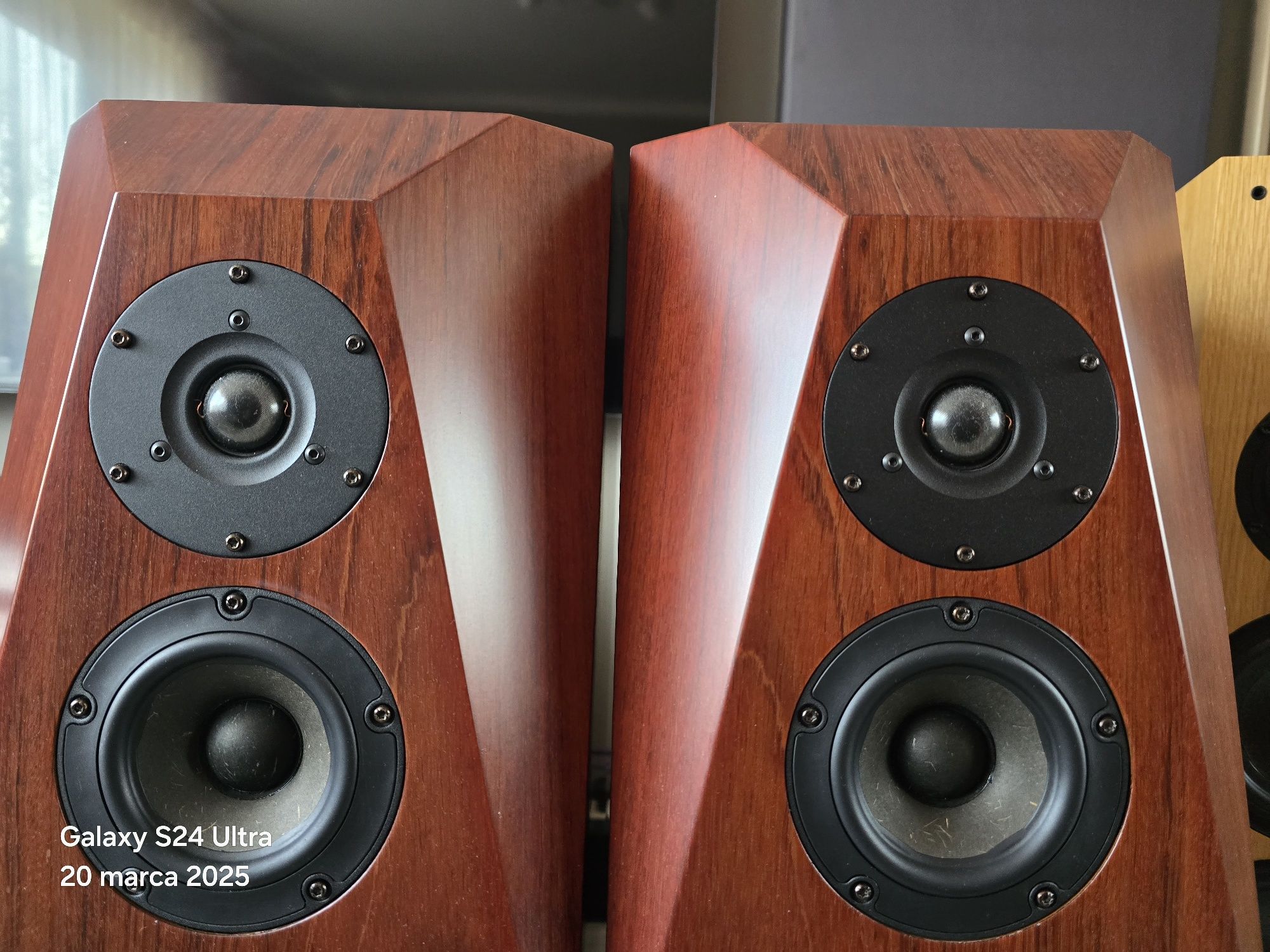 CNC AUDIO.  Vifa ne, morel, Diy