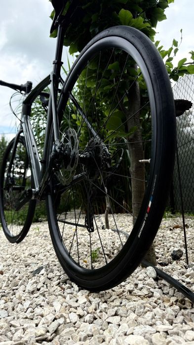 Trek Domane AL5 58