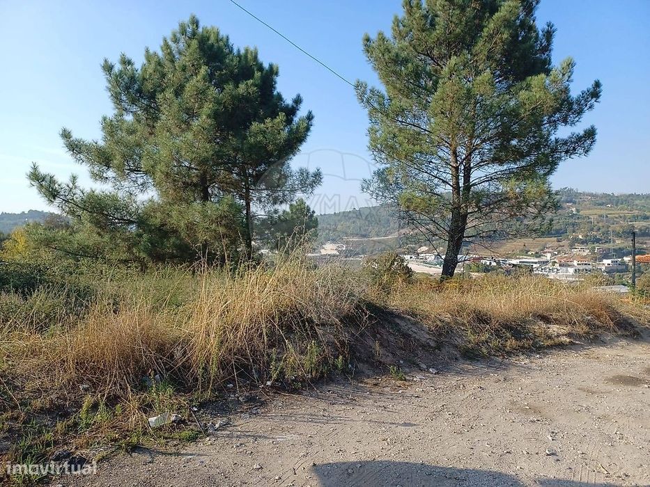 Terreno  para venda