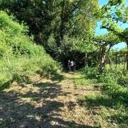 Terreno Rustico com Casa