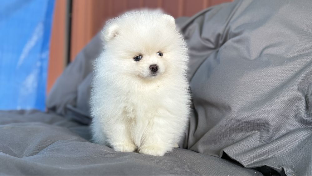 Біленький хлопчик чекає маму