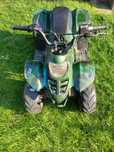 Quad kinqway alpinus