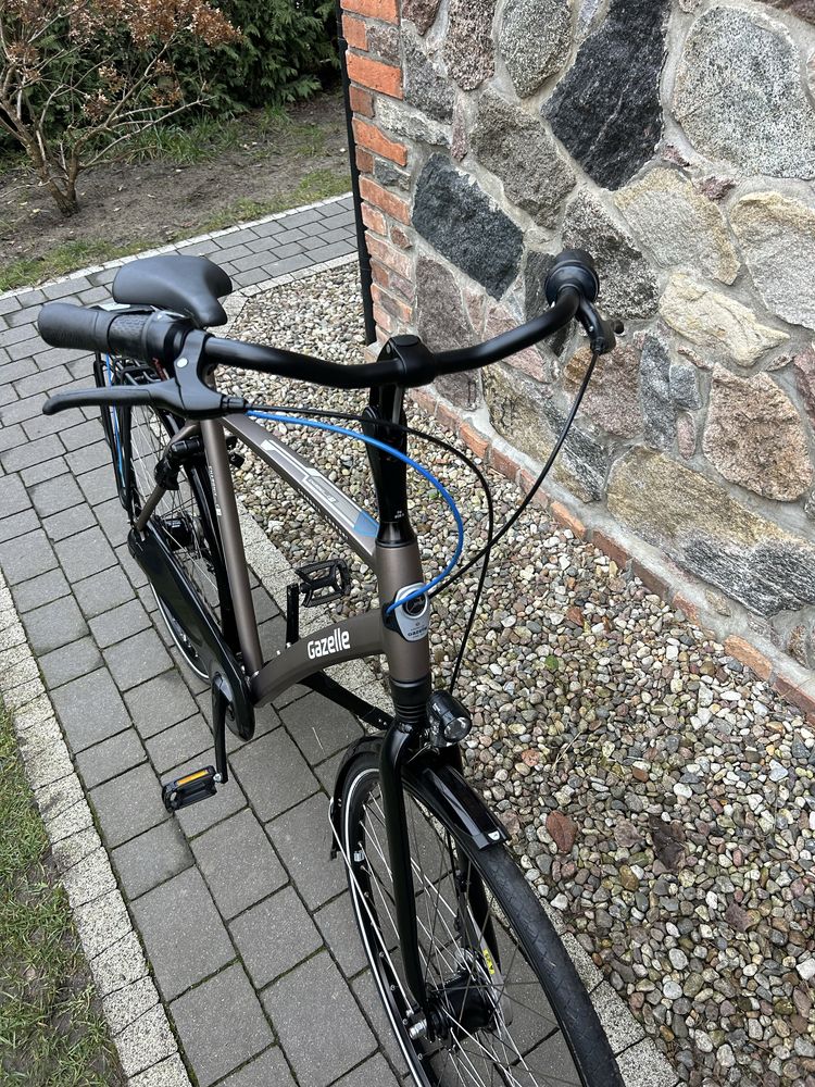 Rower Gazelle Chamonix C7