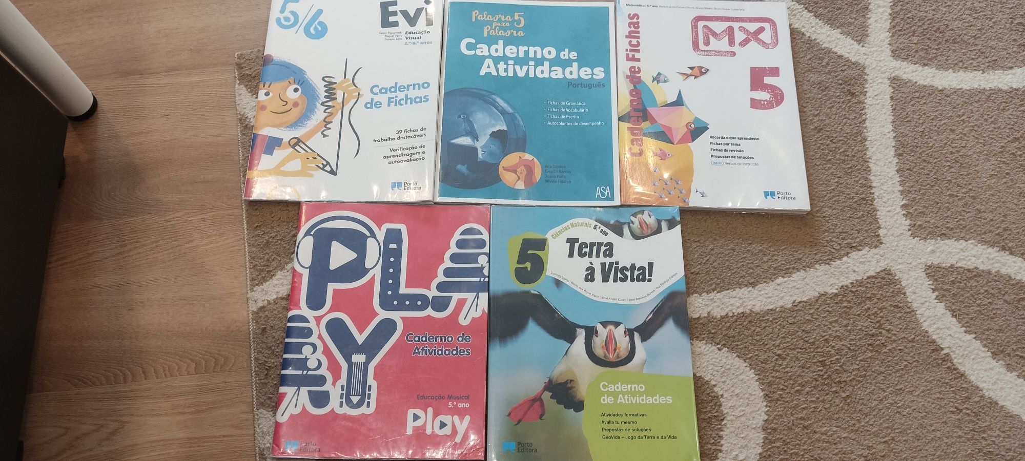 Cadernos fichad 5 ano NOVOS e encadernados