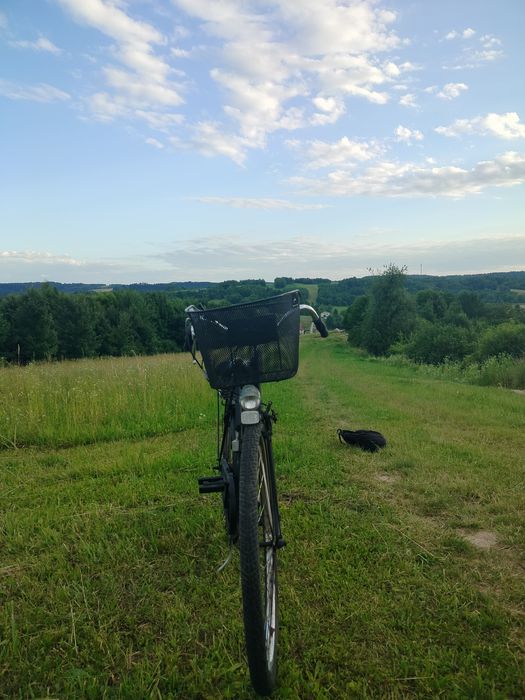 Duży Rower Hercules.