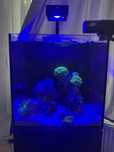 Zestaw Akwariowy Red Sea Max Nano (75l)