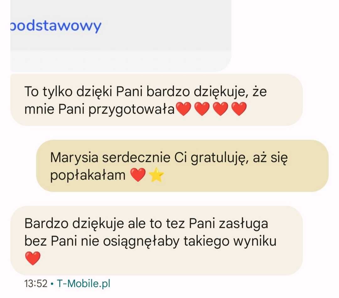 Nauczyciel  polskiego przygotowujący  do poprawek , online i w domu .