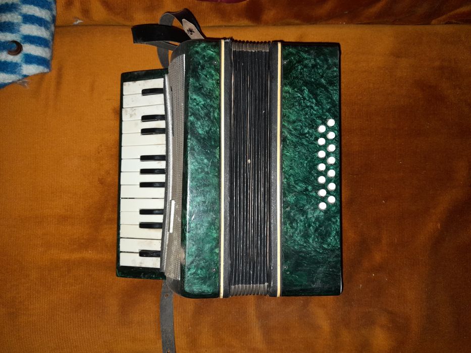 Акордеон "Малиш"