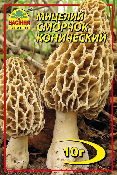 Мицелий грибов сухой