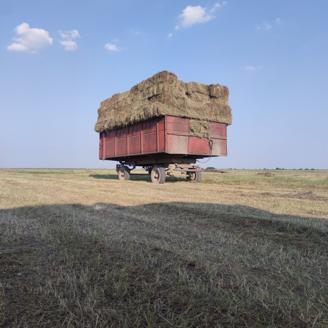 Продам сено луговое, солома ячнева,пшенична.