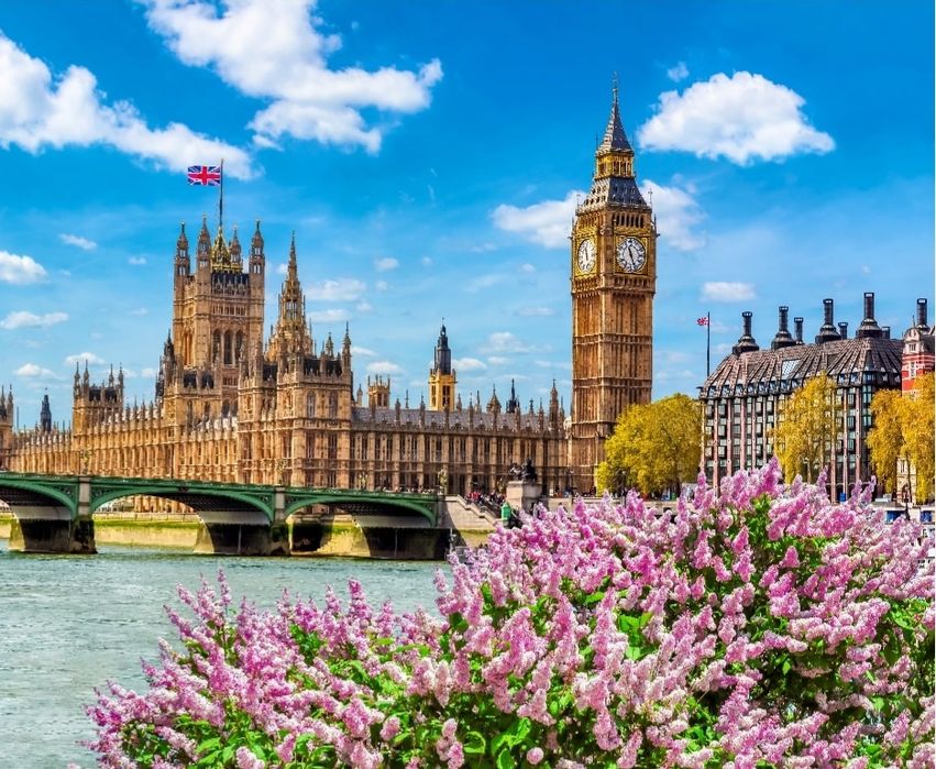 Najskuteczniejsze korepetycje z Angielskiego!