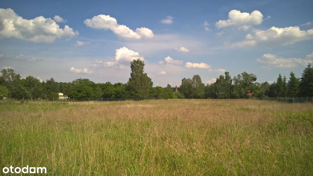 Działka budowlana, 1025 m2, Jary, sprzedaż.