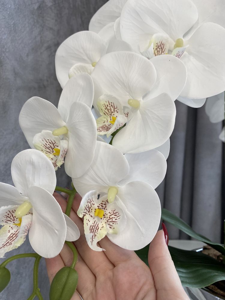 Латексная орхидея,подарок,белая орхидея,декор,украшение для дома