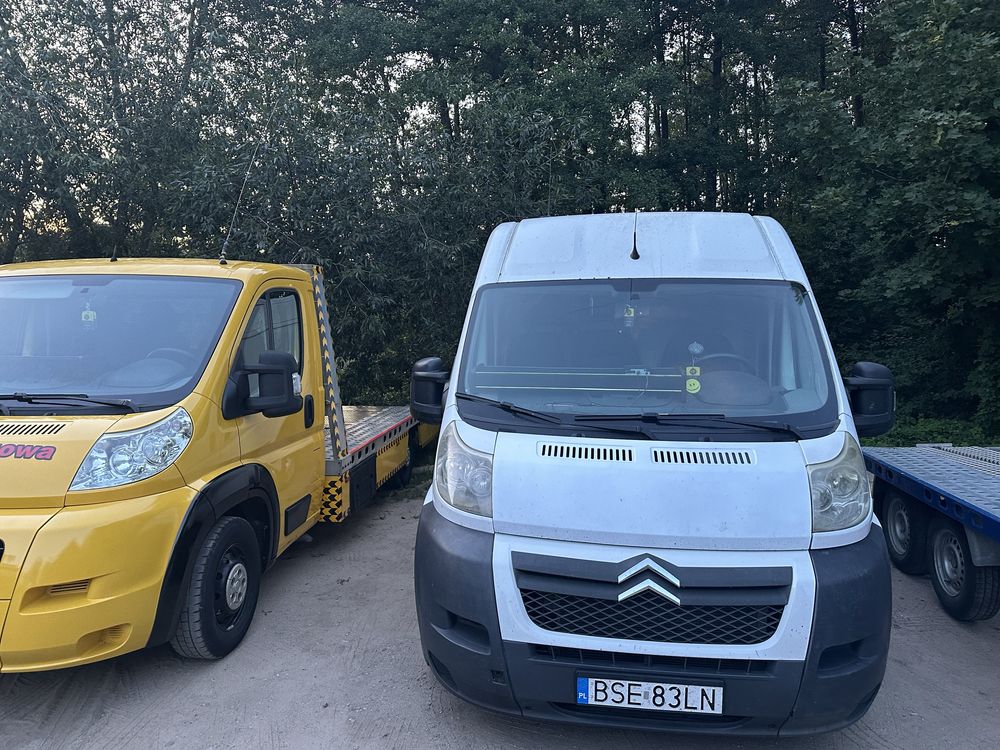 Wynajem wypożyczalnia autolawety lawety bus