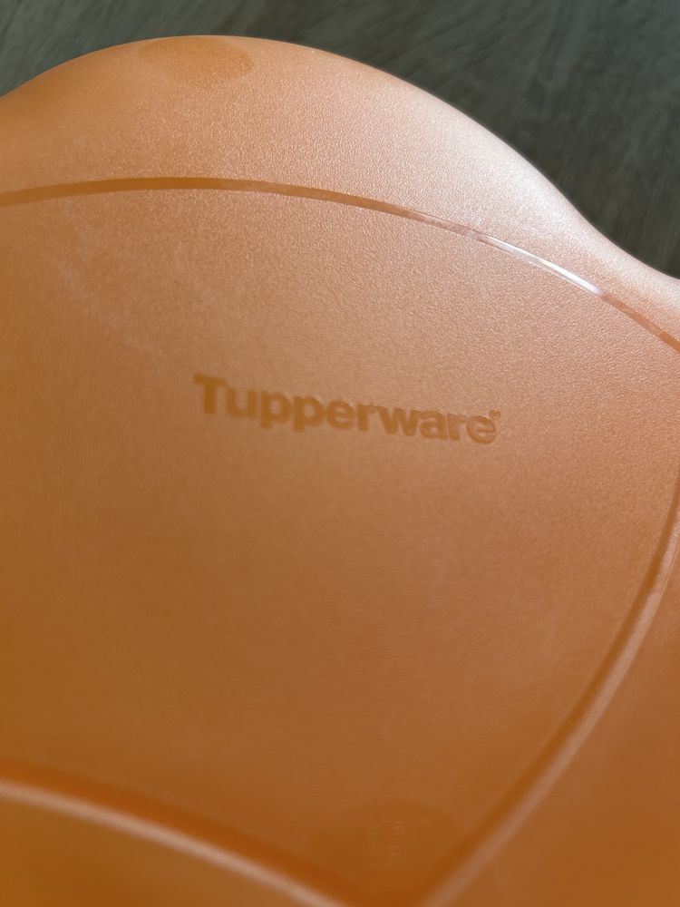 Tupperware miska bufet i pijemnik na dip 5,6l