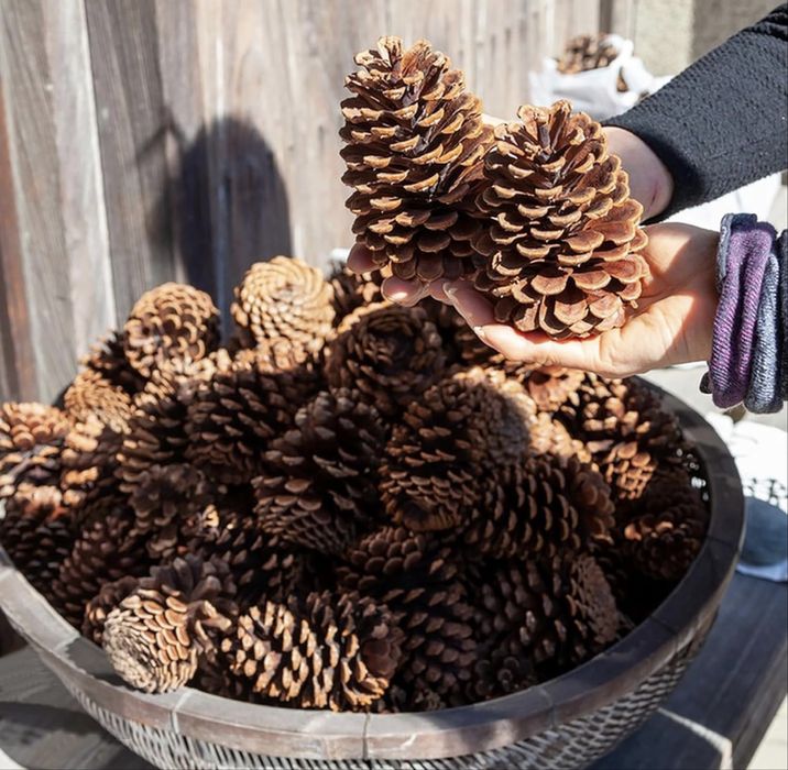 Pinha decorativa para arvore de natal