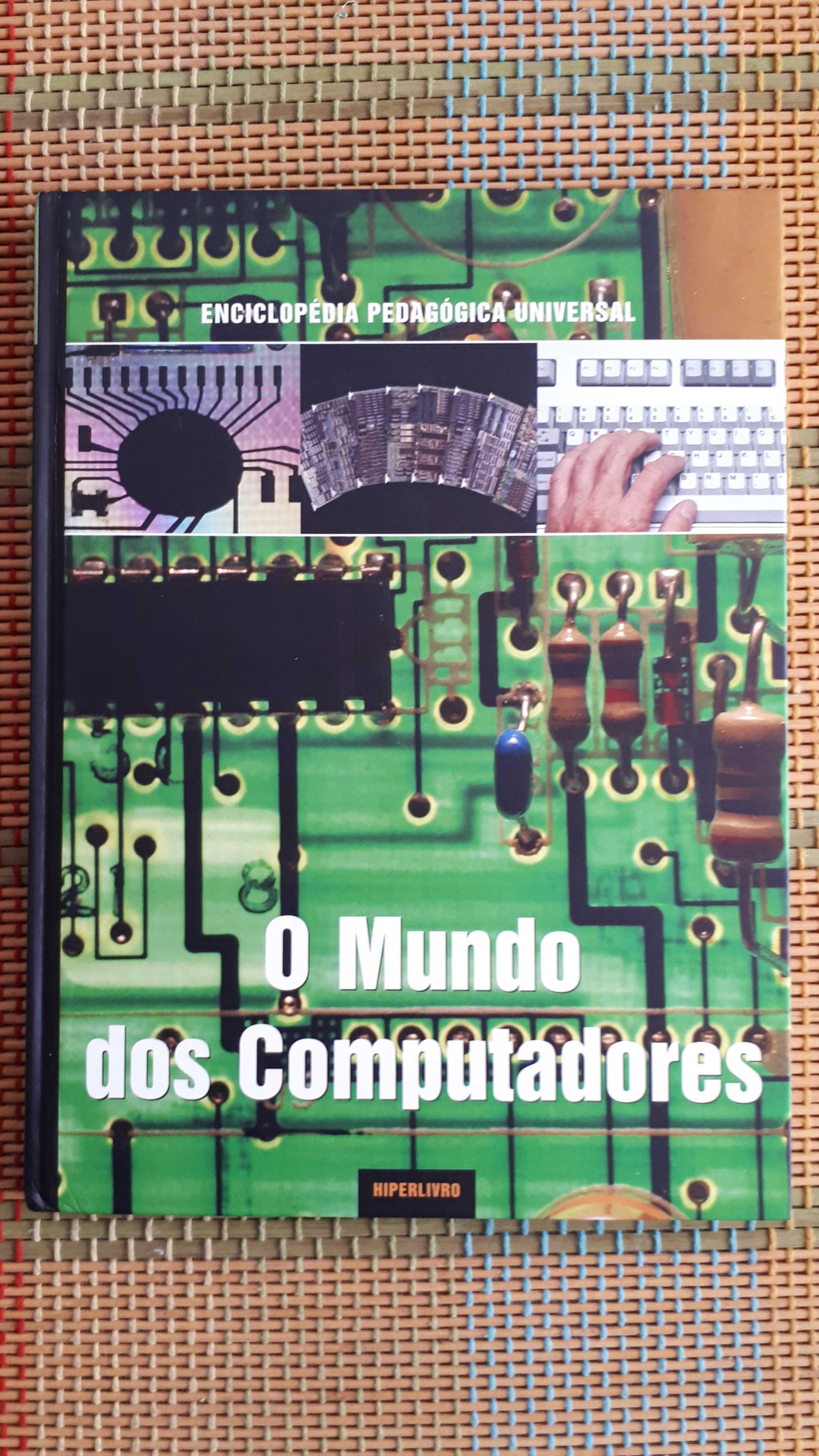 Livros informática didáticos