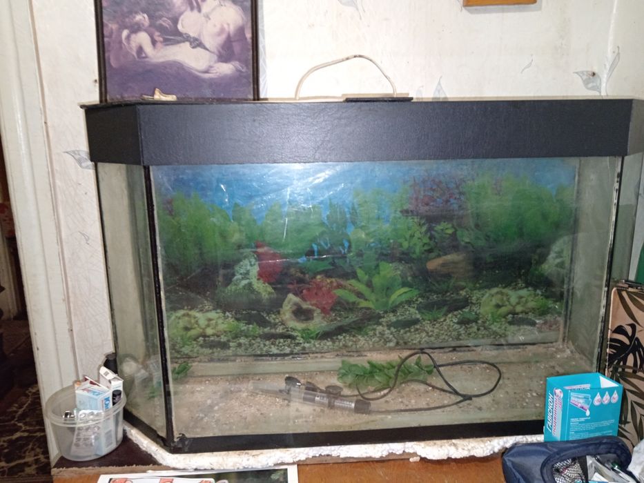 Продаю аквариум недорого