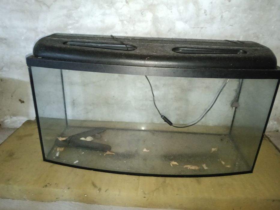 Akwarium 200l panorama