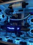 Karta graficzna RTX 3080 Zotac Gaming