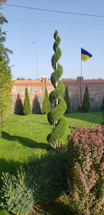 Топіарна стрижка рослин  автоматичний полив стрижка газону