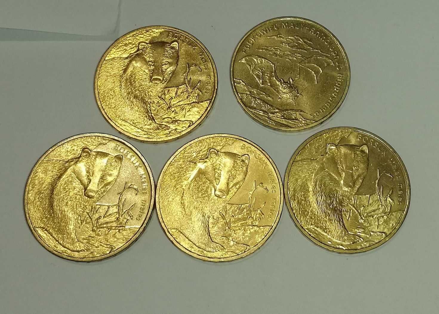 Kolekcja monet - zestaw monet - Moneta 2zł okolicznościowa