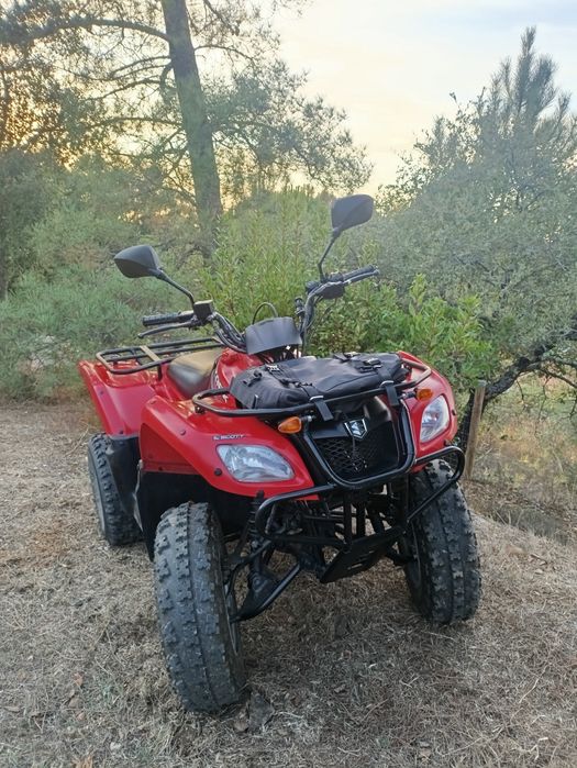 Suzuki Ozark 250