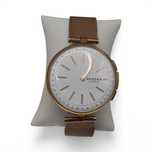 Zegarek damski Skagen Hybrid SKT1404