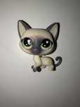 LPS kotek shorthair unikat