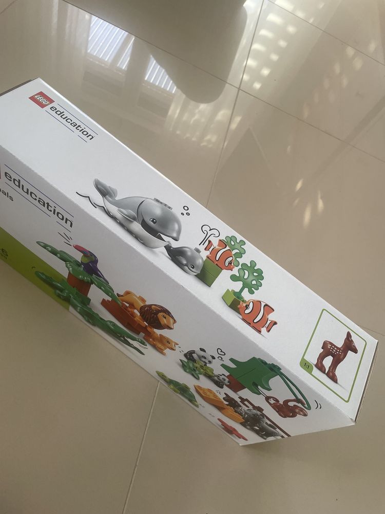 lego duplo education
