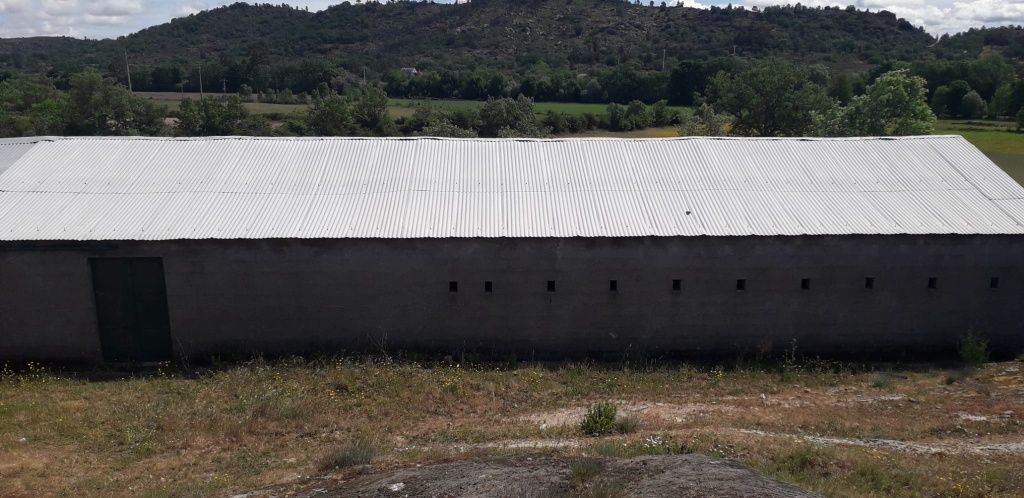 Quinta 14,5 hectares