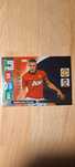 Karta panini 2014 Van Persie