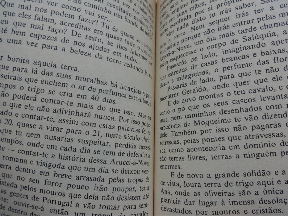 Livro - A Espada do Rei Afonso