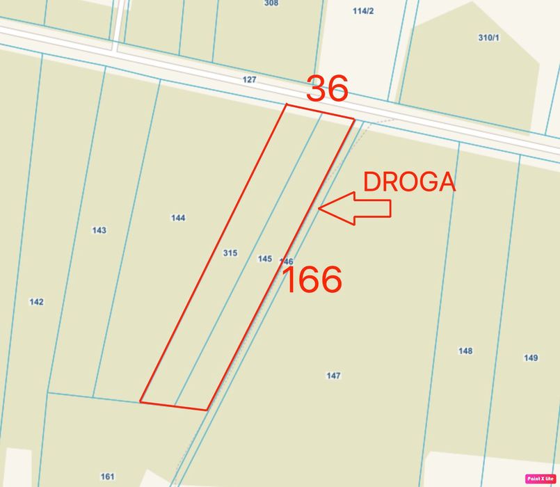 Dwie działki leśne, k. Łęczycy, dojazd asfalt