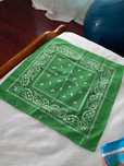 Lenço com padrão com tons de verde e branco