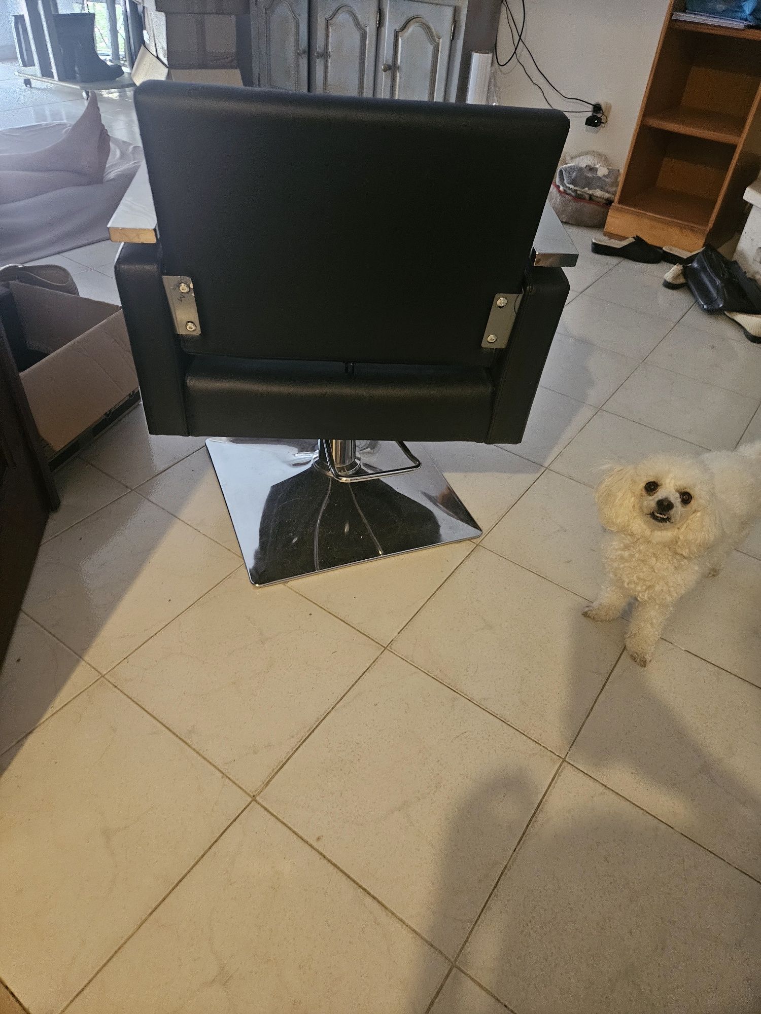 Cadeira de cabeleireiro