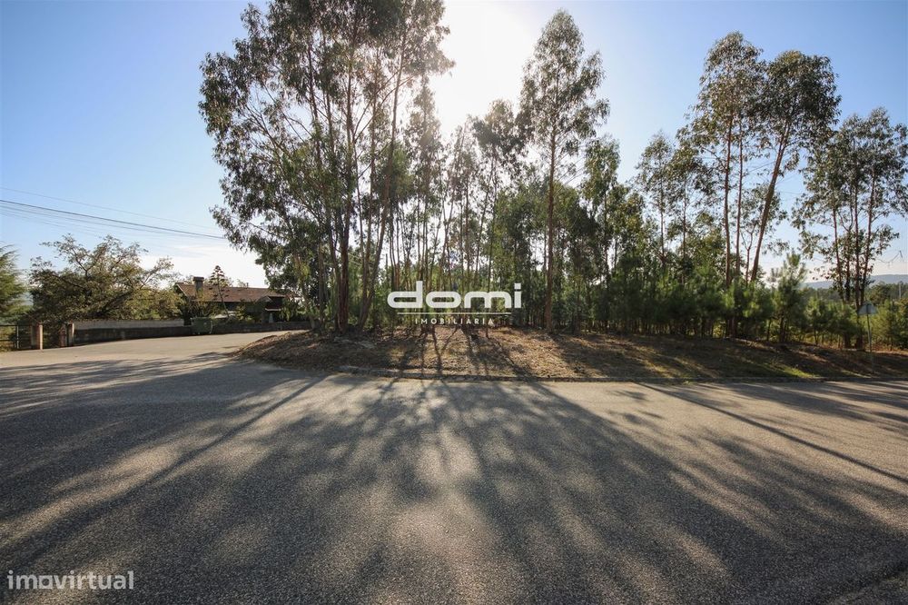 Terreno com viabilidade de construção em Oliveira de Frades