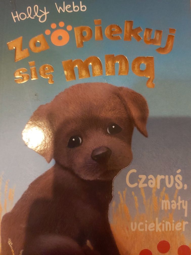 Zaopiekuj się mną Czaruś mały uciekinier
