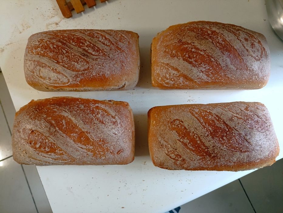 Rzemieślnicze  Chlebki  Orkiszowe 2sztuki