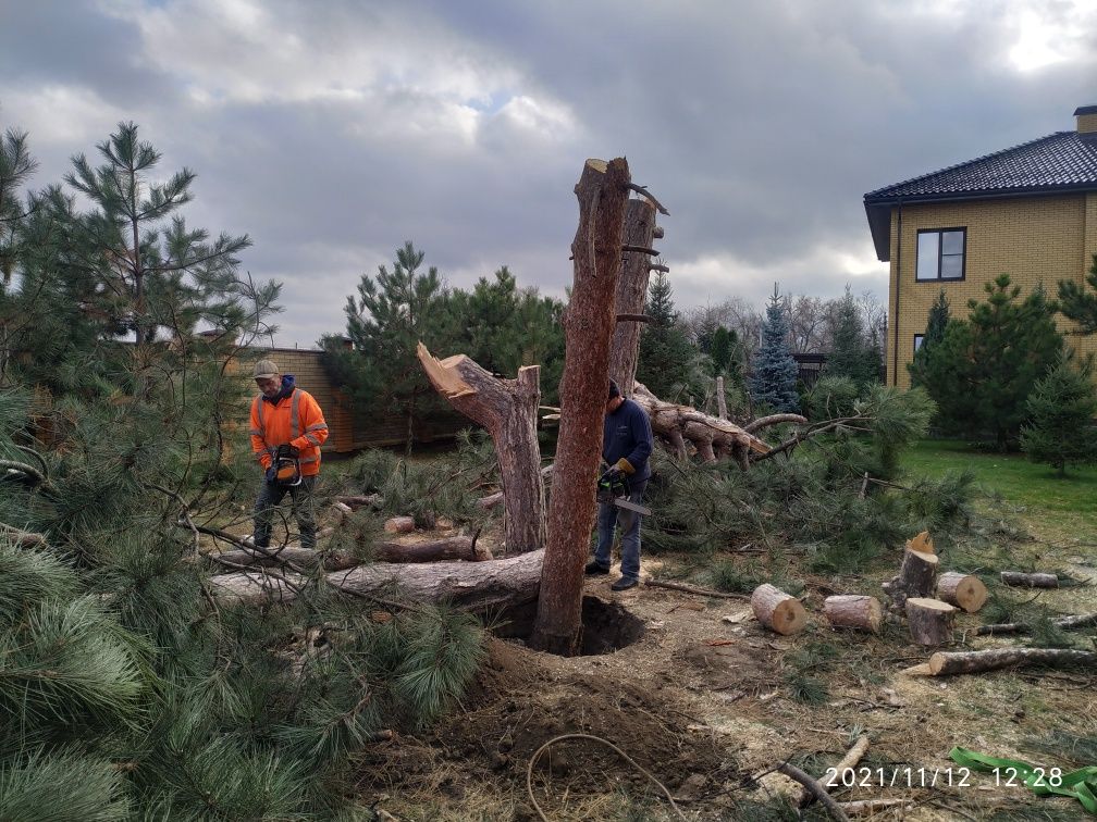 Корчевка пней, деревьев ,Культивация Земли,вспашка,Уборка територии