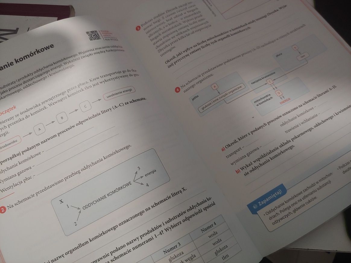 Biologia zeszyt ćwiczeń