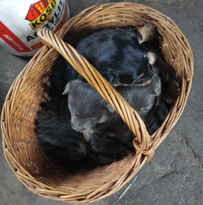 Jestem niechcianym dzieckiem, czy ktoś mnie pokocha? Hania