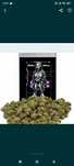 100 g CBD susz cbd white widow

Topki są małej i średniej wielkości ad