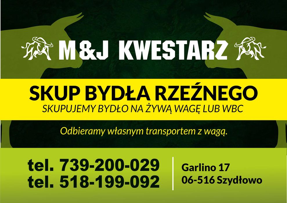 SKUP BYDŁA Rzeźnego I Hodowlanego\cieląt\odsadków\żarłaków